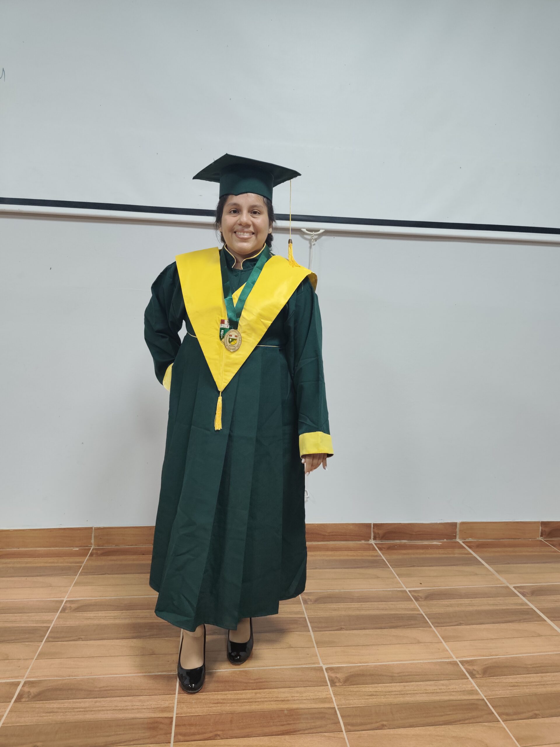 Sustentación Educación Secundaria