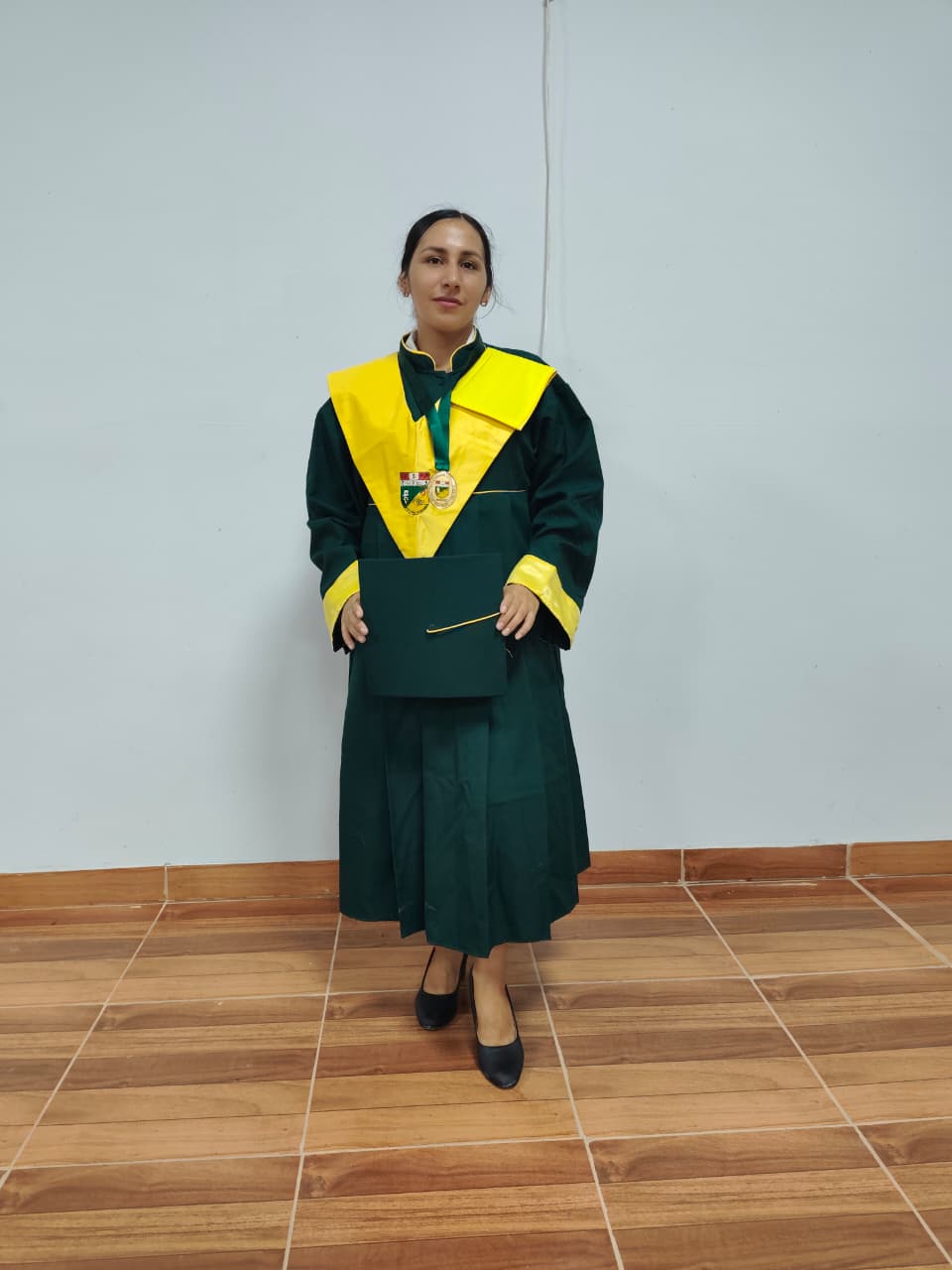 Sustentación Educación Secundaria