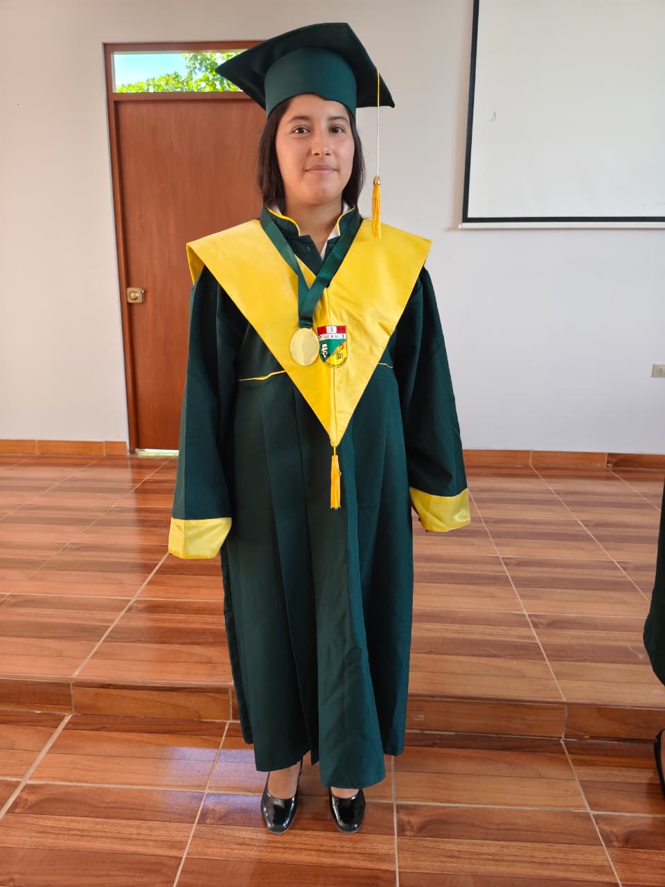 Sustentación Educación Secundaria