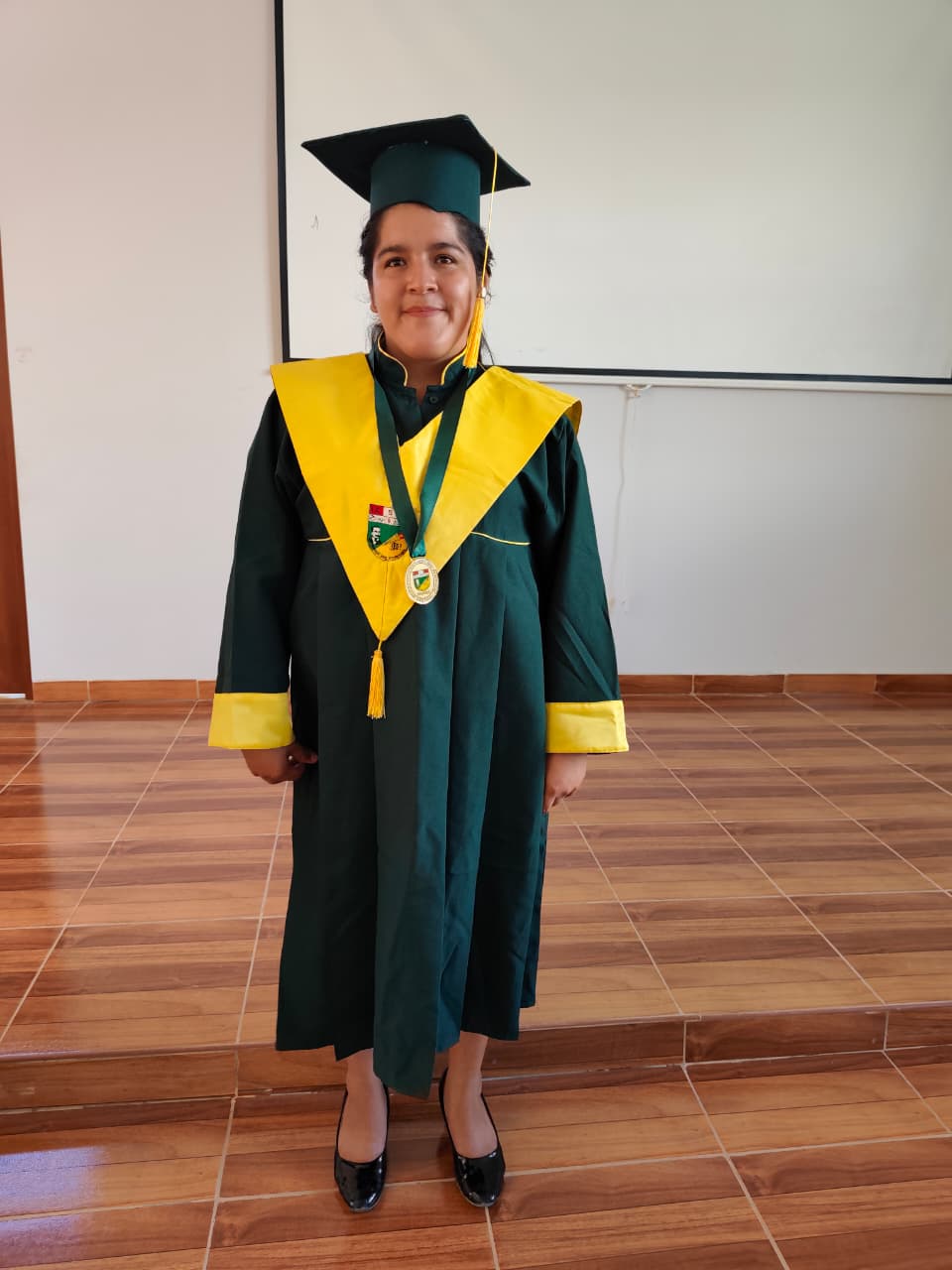 Sustentación Educación Secundaria